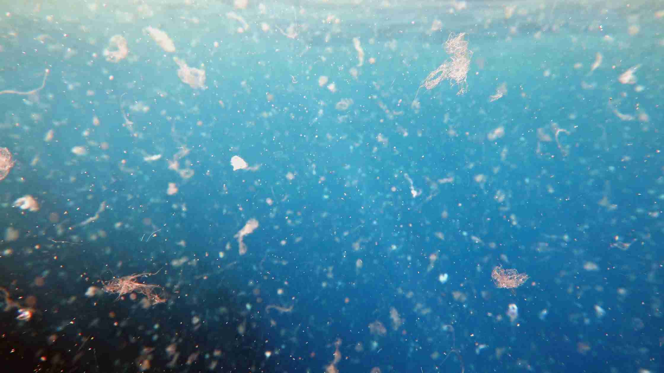 Mikroplastika v kozmetiki, okoljska katastrofa, predvsem za morske ekosisteme
